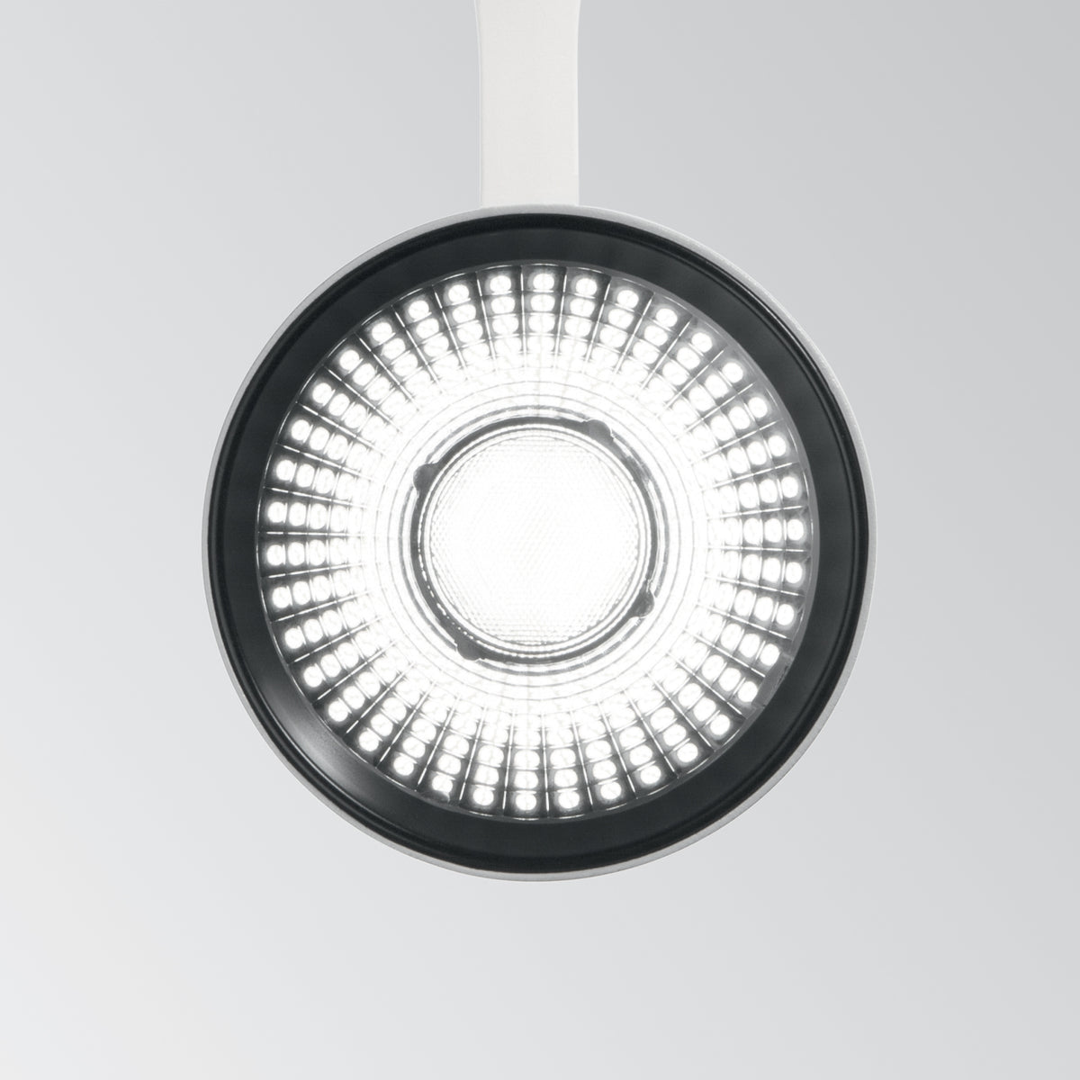 Spot pe șină trifazată Fox TR 25W CRI90 3000K DALI, alb – ambient
