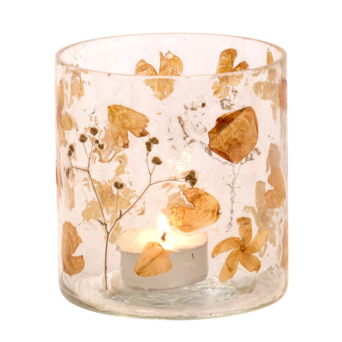 Suport cilindric din sticlă pentru lumânare votivă cu flori uscate, transparent/crem, 11 cm