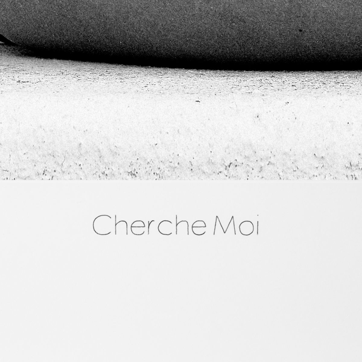 Tablou Cherche Moi de Philippe Vogelenzang