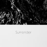 Tablou Surrender de Philippe Vogelenzang