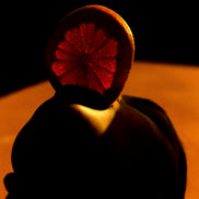 Tablou Vitamin Oral de Philippe Vogelenzang