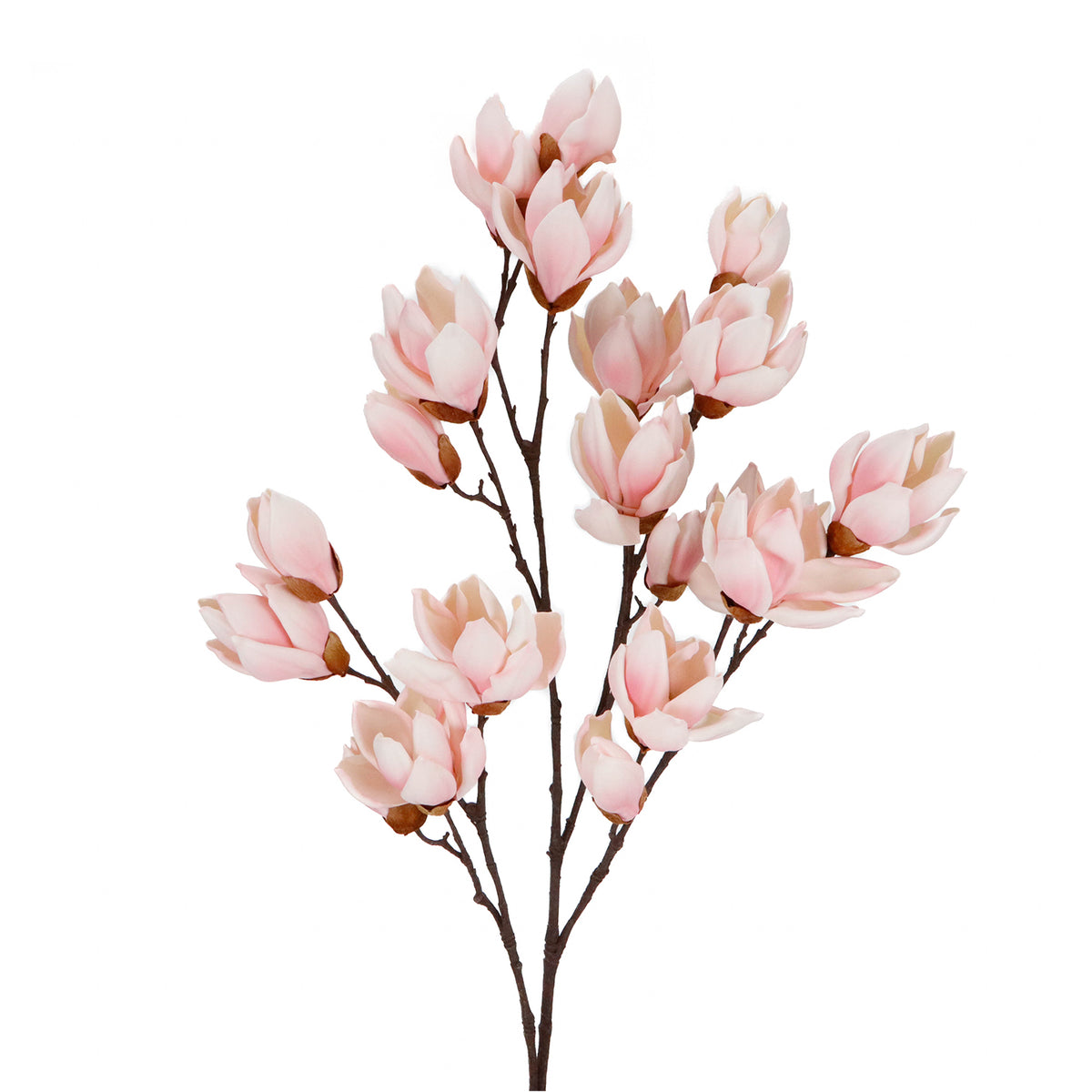Tulpină cu flori de magnolie, roz deschis/maro, 113 cm