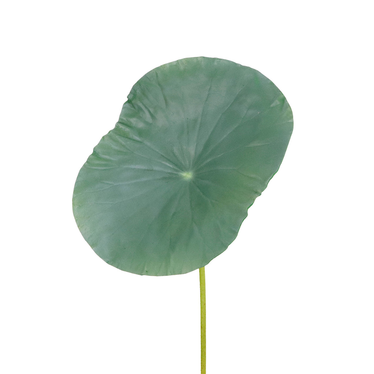 Tulpină cu frunză de nufăr, verde, 61 cm