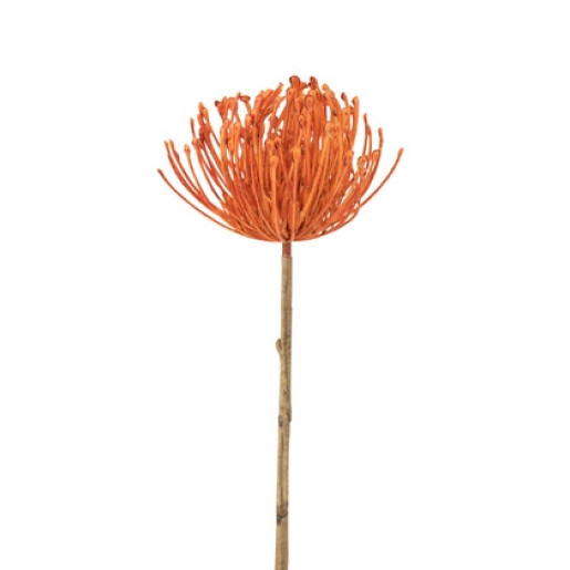 J-LINE Decoratiune Floare artificiala Orange S