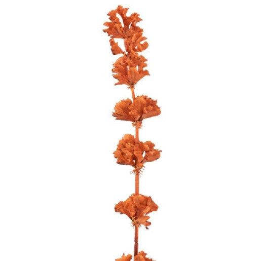 J-LINE Floare artificiala Clopotel Orange