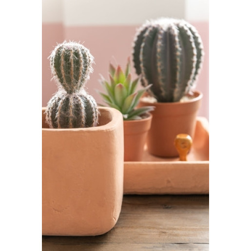 J-LINE Cactus decorativ S