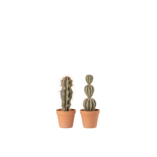 J-LINE Cactus decorativ L