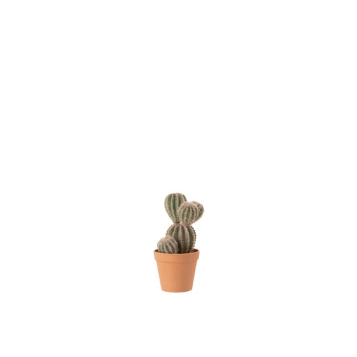 J-LINE Planta decorativa Cactus 