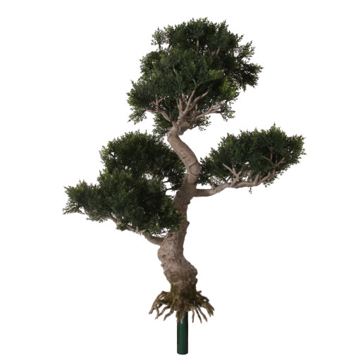 SHISHI Planta decorativa bonsai