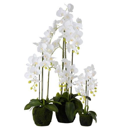 Orhidee artificială FRESH TOUCH White