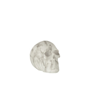 J-LINE Decoratiune Craniu Marble L