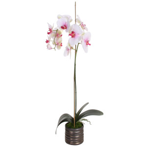 SHISHI Planta decorativa Orhidee alba