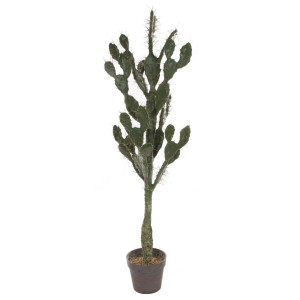 SHISHI Planta decorativa Cactus