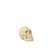 J-LINE Decoratiune  Craniu Poly S
