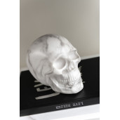 J-LINE Decoratiune Craniu Marble S