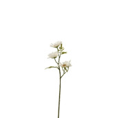 J-LINE Floare artificiala Margareta alba