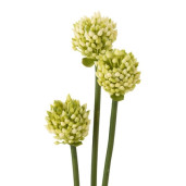 J-LINE Floare artificiala Allium 