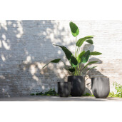 Strelizia ,planta artificiala verde 