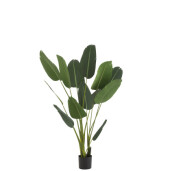 Strelizia ,planta artificiala verde 60x60x189