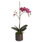 SHISHI Planta decorativa Orhidee M