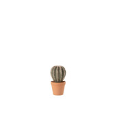 J-LINE Planta decorativa Cactus L