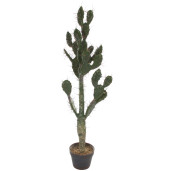 SHISHI Planta decorativa Copacel Cactus