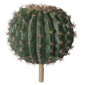 SHISHI Planta decorativa Cactus M