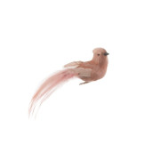 J-LINE Decoratiune Pasare cu aripi Pink  Poly 